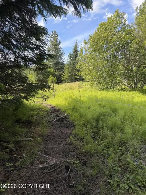 Tr 1-3 Moon Lane, Homer, AK 99603