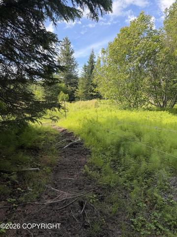 Tr 1-3 Moon Lane, Homer, AK 99603