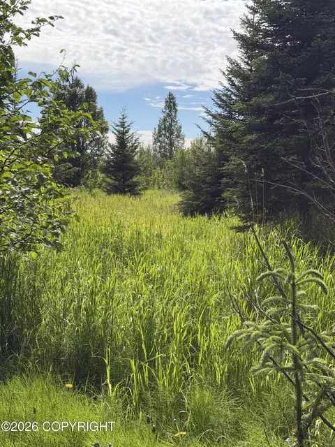 Tr 1-4 Moon Lane, Homer, AK 99603