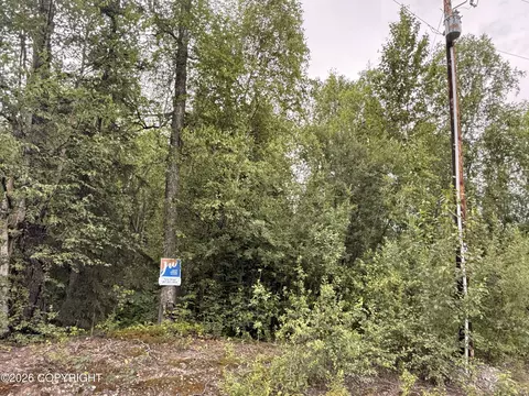 21501 E Caswell Lakes Rd, Willow, AK 99688 photo 3