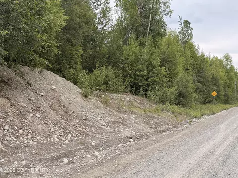 21501 E Caswell Lakes Rd, Willow, AK 99688 photo 8