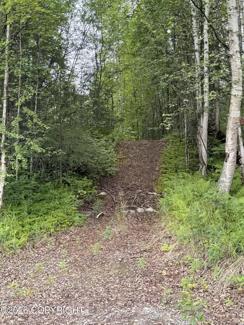 21501 E Caswell Lakes Rd, Willow, AK 99688 photo 6