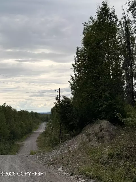 21501 E Caswell Lakes Rd, Willow, AK 99688 photo 2