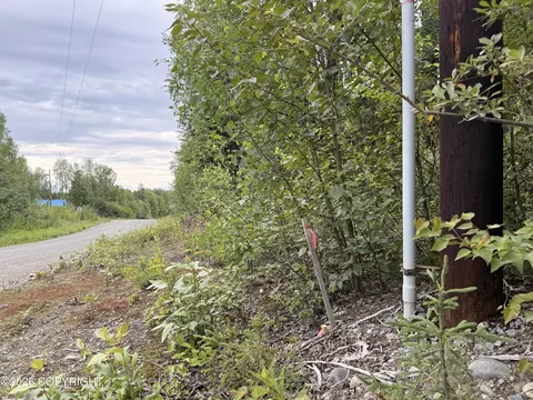 21501 E Caswell Lakes Rd, Willow, AK 99688 photo 9