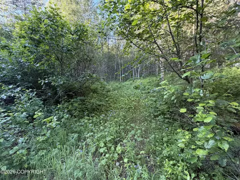 L10 B2 Sunstone Street, Nikiskinorth Kenai, AK 99635