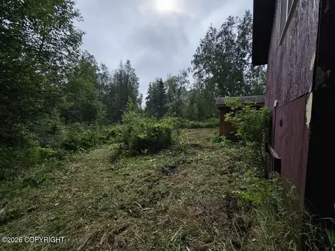 Tr C-2 Mount Susitna, Remote, AK 99688 photo 24