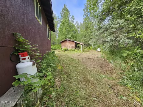 Tr C-2 Mount Susitna, Remote, AK 99688 photo 25