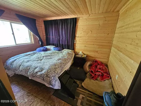 Tr C-2 Mount Susitna, Remote, AK 99688 photo 18