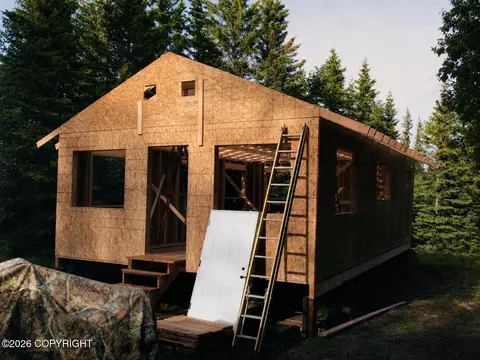 Tract C-2 Mount Susitna, Remote, AK 99688 photo 14