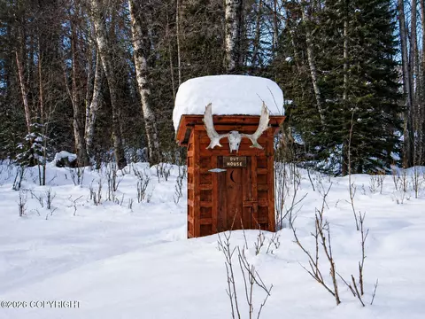 Tract C-2 Mount Susitna, Remote, AK 99688 photo 11