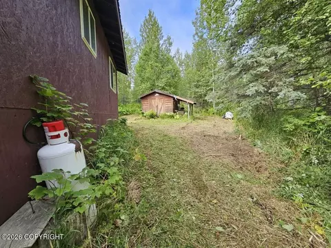 Tr C-2 Mount Susitna, Remote, AK 99688 photo 21