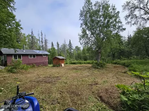 Tr C-2 Mount Susitna, Remote, AK 99688 photo 20