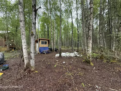 19188 E Bigone Ave, Willow, AK 99688 photo 7