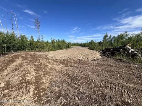 15466 E Wild Bill Way, Willow, AK 99688 photo 2