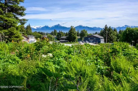 167 E Danview Ave, Homer, AK 99603