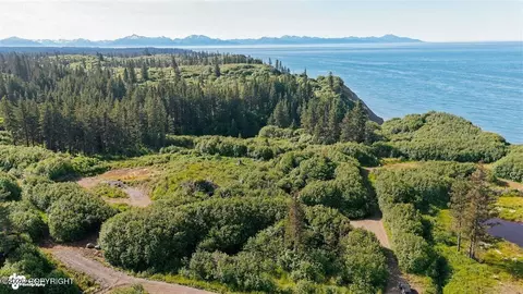 35899 35931 Danver St, Anchor Point, AK 99556