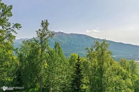 View/Area - 11330 Steeple Dr, Eagle River, AK 99577 photo 4 of 4