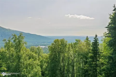 View/Area - 11330 Steeple Dr, Eagle River, AK 99577 photo 1 of 4