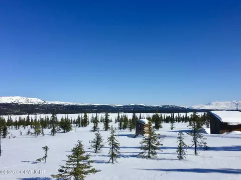 45589 Caribou Lake Rem SW, Homer, AK 99603