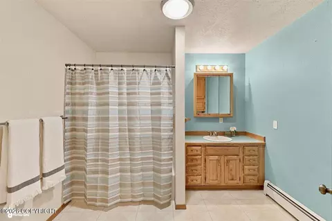 Bath - 38215 Robinson Loop Rd, Sterling, AK 99672 photo 6 of 6