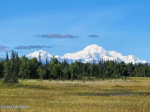 16637 S Laramie Dr, Trapper Creek, AK 99683