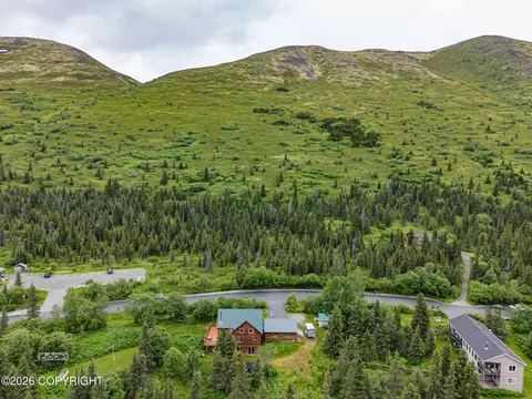 View/Area - 1451 W River Dr, Eagle River, AK 99577 photo 6 of 16