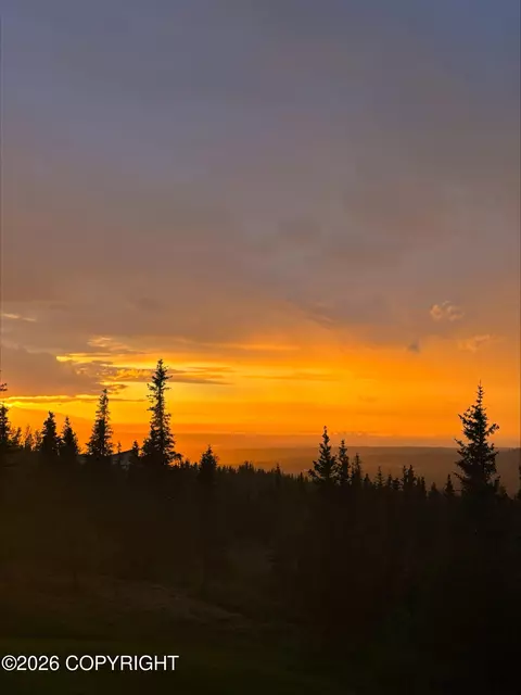 Other - 8207 Robert Dr, Anchorage, AK 99516 photo 21 of 23