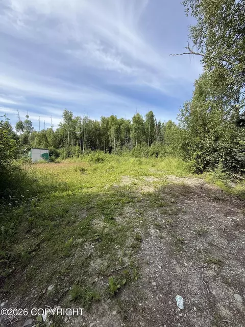 L12 B23 Enchanted Forest, Houston, AK 99694