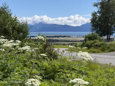 4730 Craftsman Rd, Homer, AK 99603