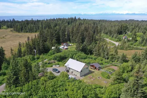 Other - 35812 Lifeboat Loop, Anchor Point, AK 99556 photo 28 of 28