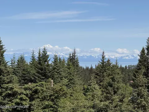 View/Area - 35812 Lifeboat Loop, Anchor Point, AK 99556 photo 1 of 3