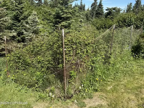 Exterior - 35812 Lifeboat Loop, Anchor Point, AK 99556 photo 7 of 22