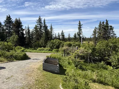Exterior - 35812 Lifeboat Loop, Anchor Point, AK 99556 photo 21 of 22