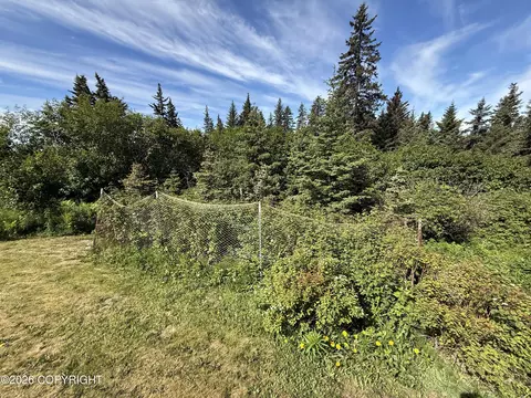 Exterior - 35812 Lifeboat Loop, Anchor Point, AK 99556 photo 6 of 22
