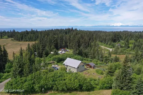 Other - 35812 Lifeboat Loop, Anchor Point, AK 99556 photo 25 of 28