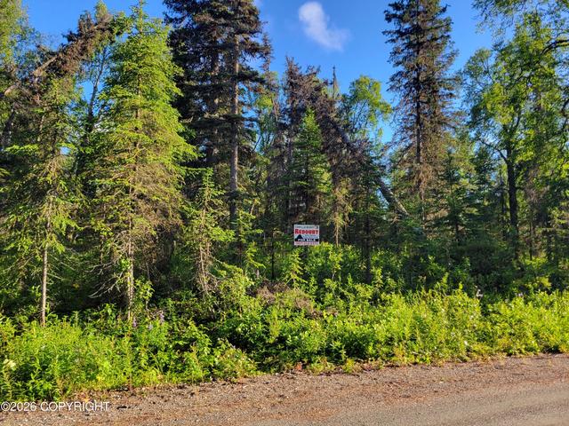 52505 Blueberry Ave, Nikiskinorth Kenai, AK 99635