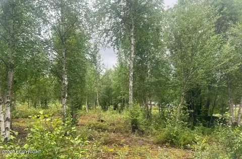 4758 S Horseshoe Lake Rd, Big Lake, AK 99652