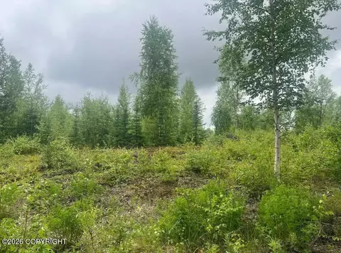4764 S Horseshoe Lake Rd, Big Lake, AK 99652