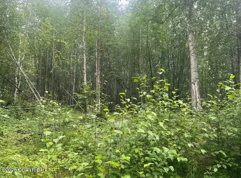 4768 S Horseshoe Lake Rd, Big Lake, AK 99652