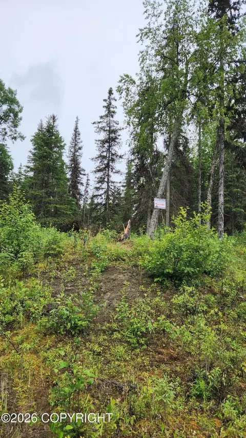 L4 Ten Mar Avenue, Soldotna, AK 99672