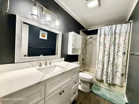 Bath - 1612 Cara Loop, Anchorage, AK 99515 photo 2 of 2
