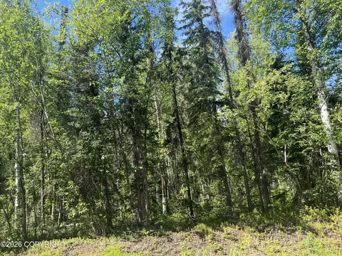 13745 E Wilderness Rim Rd, Willow, AK 99688 photo 4