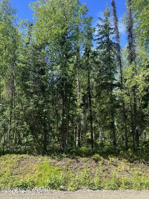 13745 E Wilderness Rim Rd, Willow, AK 99688 photo 3