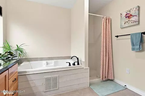 Bath - 5850 E Summit Cir, Wasilla, AK 99654 photo 3 of 5