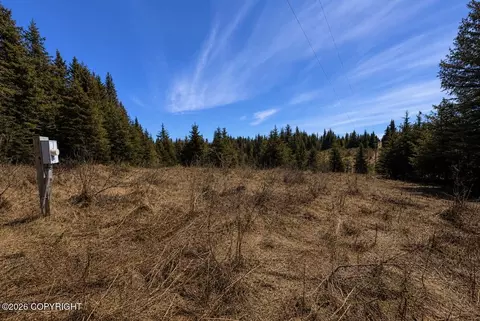 000 Twitter Creek Ln, Homer, AK 99603