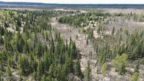 25645 Stinkbug St, Anchor Point, AK 99556