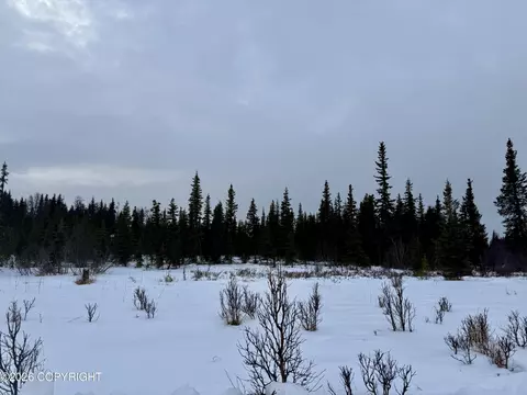 25645 Stinkbug St, Anchor Point, AK 99556