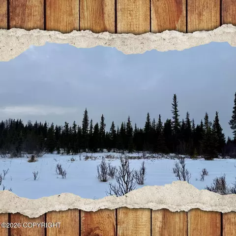 25645 Stinkbug St, Anchor Point, AK 99556