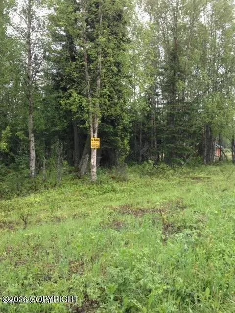 49335 Sterling Hwy, Soldotna, AK 99669