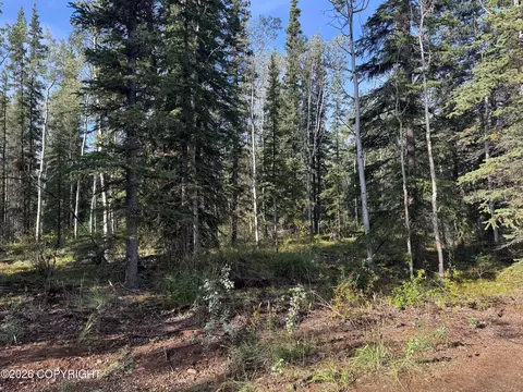 lot15 Drucke Miller Rd, Tok, AK 99780